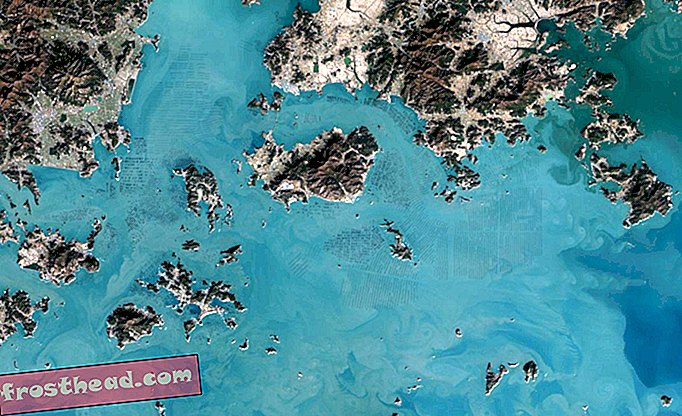 Vous pouvez voir les fermes d'algues de la Corée du Sud depuis l'espace