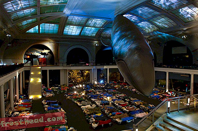 לישון עם שלדים במוזיאון זה בניו יורק