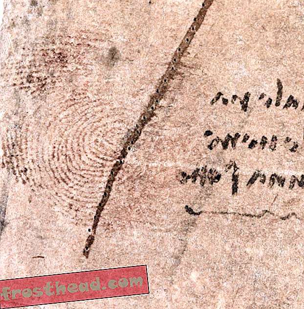 Ujawniono: czerwonawo-brązowy odcisk palca Leonarda da Vinci