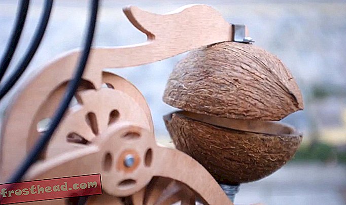 Kookospähkli koorimine muudab teie jalgratta Monty Pythoni osaks