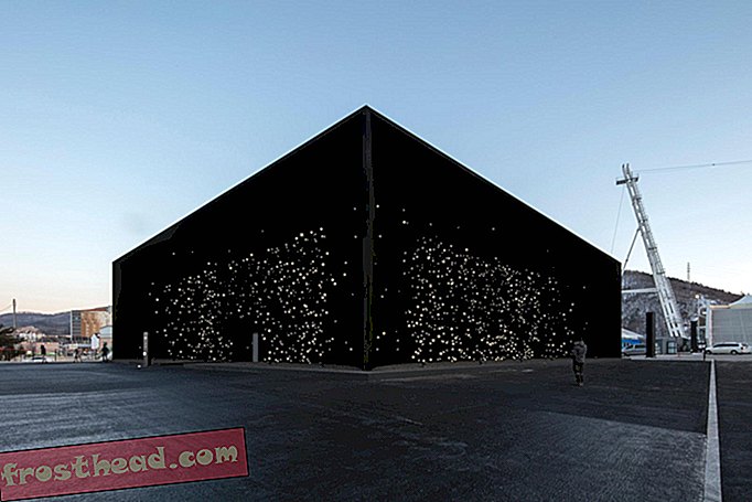 L'artiste revêt le pavillon olympique avec le pigment noir le plus noir