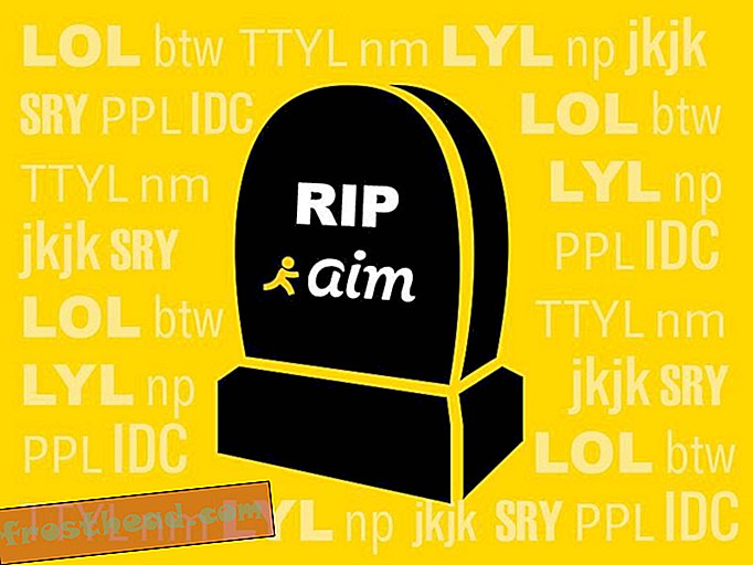 Ostri vzpon in strm spust AOL Instant Messengerja