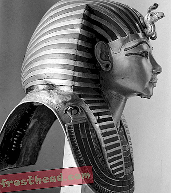 Gambar-gambar yang Lentur Memberi Tumpuan kepada orang Mesir yang Bekerja Bersama Carter untuk Mengali Makam Tutankhamun