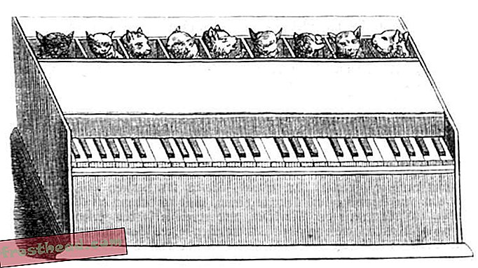 संगीत या पशु दुर्व्यवहार?  बिल्ली पियानो का एक संक्षिप्त इतिहास-स्मार्ट समाचार, स्मार्ट समाचार कला और संस्कृति, स्मार्ट समाचार इतिहास और पुरातत्व
