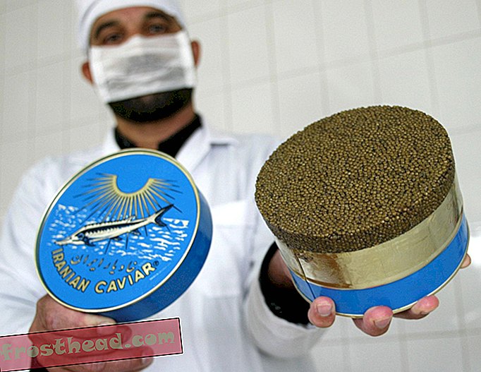 smarte nyheter, smarte nyheter kunst og kultur - Lettere sanksjoner kan bety et comeback for iransk kaviar