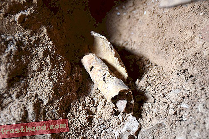 Les archéologues pourraient avoir trouvé une autre grotte de défilement de la mer Morte