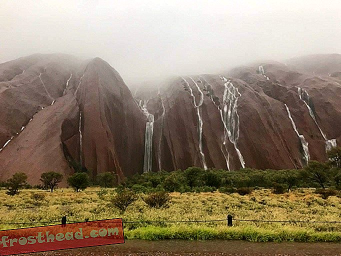 интелигентни новини, умни новини изкуства и култура, интелигентни научни новини - Дъждове трансформира австралийския национален парк Улуру във водопад Страна на чудесата