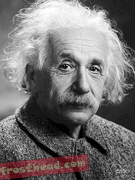 Les maximes sur la vie d'Einstein atteignent 1,8 million de dollars aux enchères