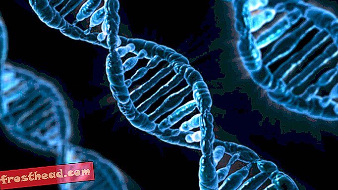 smarte nyheder, smarte nyheder kunst og kultur, smarte nyhedsidéer og innovationer - I den første bevares arkiveringskvalitetsforestillinger i DNA