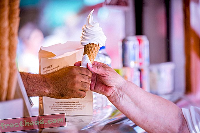 The Science of Soft Serve