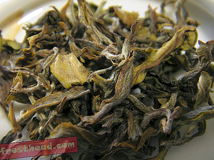 Pour la première fois en 150 ans, n'importe qui peut acheter l'un des thés les plus rares au monde