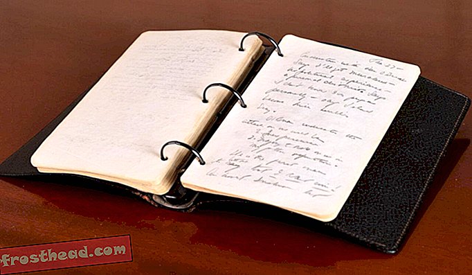 Myyty: 28-vuotiaan JFK: n päiväkirja