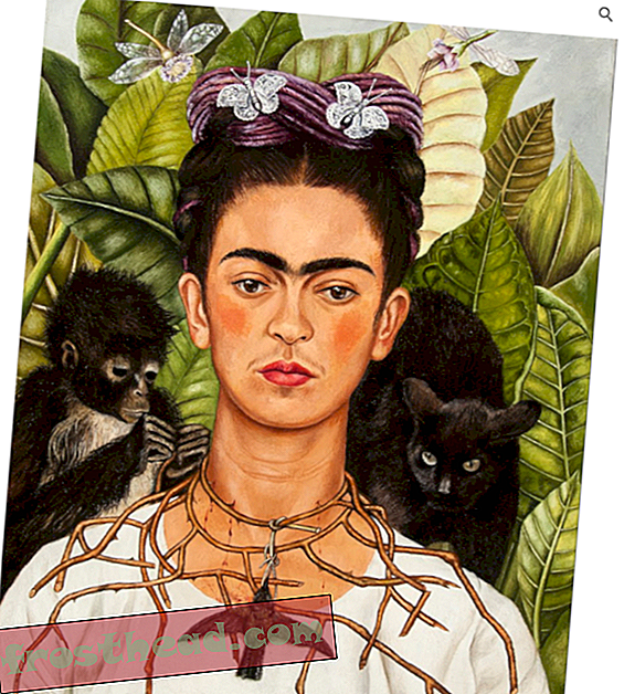Udforsk Googles fejende retrospektiv om Frida Kahlos liv og arv