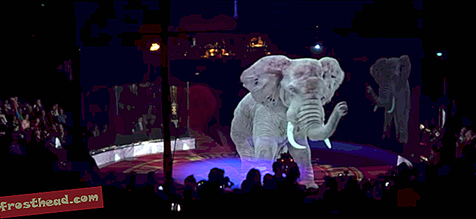pametne novice, pametne novice, umetnost in kultura - Nemški cirkus namesto živih izvajalcev živali uporablja osupljive holograme