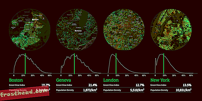 'Treepedia' של MIT מראה כיצד עירך צומחת