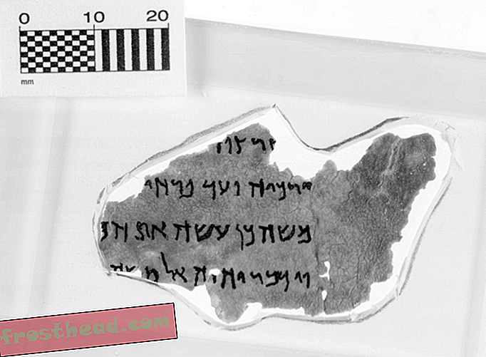 Le musée de la Bible reconnaît que cinq de ses manuscrits de la mer Morte sont des faux