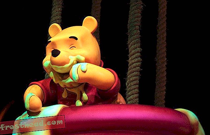Selamat Ulang Tahun Winnie-the-Pooh