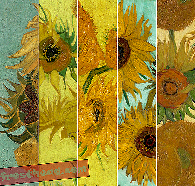 berita pintar, kesenian & budaya berita pintar, idea berita pintar & inovasi - Sebuah Pameran Maya menyatukan Sunflowers Vincent van Gogh