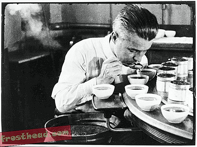 La FDA avait l'habitude d'avoir des gens dont le travail consistait à goûter du thé