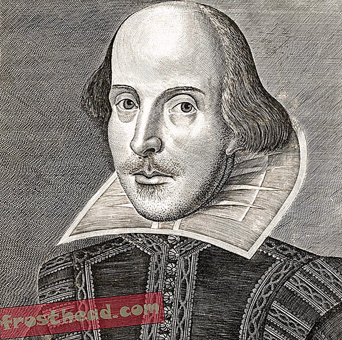 Riigikohtu kohtunikel on Shakespeare'i jaoks asi