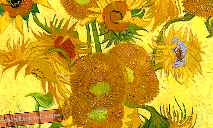 Rentgenski žarki pokažejo, da bodo sončniki Van Gogha nekega dne izginili