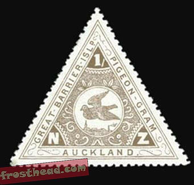 notizie intelligenti, notizie e arte e cultura intelligenti, notizie e archeologia intelligenti - I francobolli per piccioni di questa isola della Nuova Zelanda sono ancora apprezzati