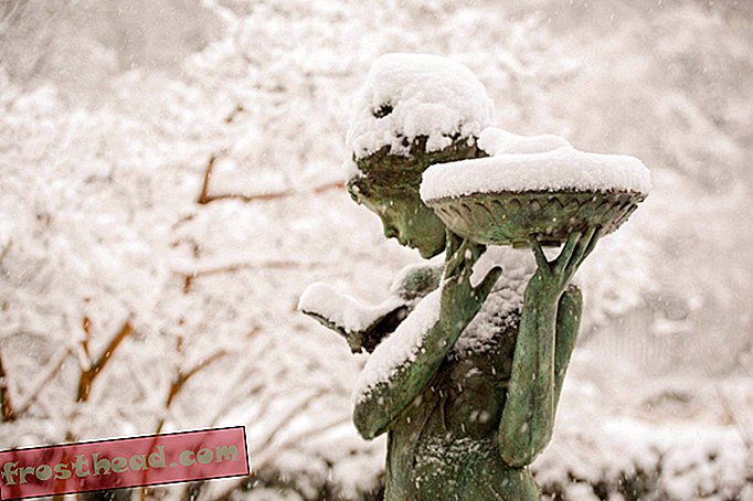 noticias inteligentes, noticias inteligentes arte y cultura, historia y arqueología de noticias in - Central Park tiene 22 estatuas de figuras históricas.  Cada uno es un hombre.