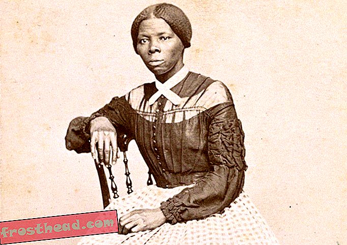 Harriet Tubmani 20-dollarise arve edasilükkamist uurib sisemine valvekoer