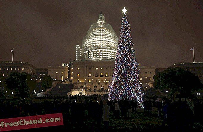 noticias inteligentes, noticias inteligentes arte y cultura, noticias inteligentes viajes - El árbol de Navidad del Capitolio está (parcialmente) hecho de basura