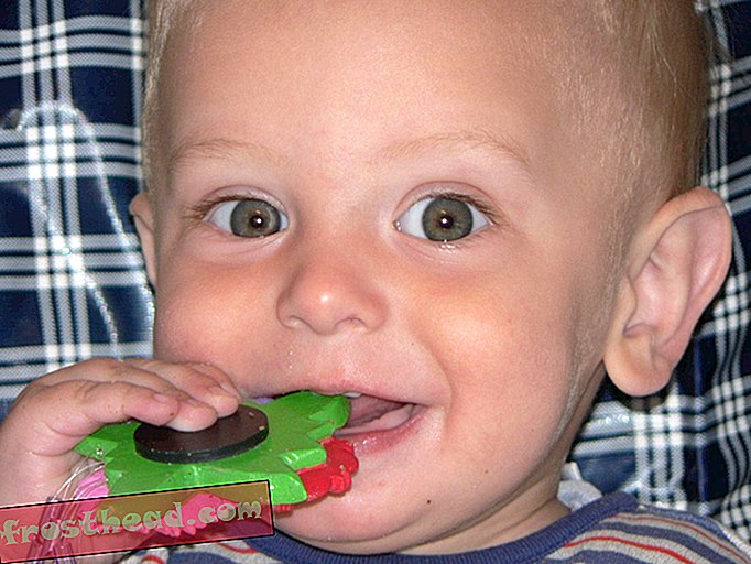 ילדים אוכלים עוד חמישה פעמים מגנטים ממה שעשו לפני עשר שנים