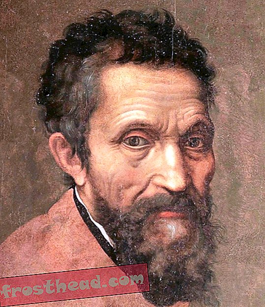 Kunsthistoriker siger, at han har identificeret den tidligste kendte Michelangelo-tegning