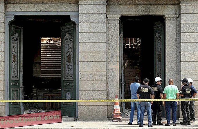 Cinq choses que nous avons apprises depuis l'incendie du musée national au Brésil
