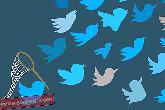 интелигентни новини, умни новини изкуства и култура - Новото проучване открива, че фалшивите новини се разпространяват по-бързо и по-дълбоко от проверените истории в Twitter