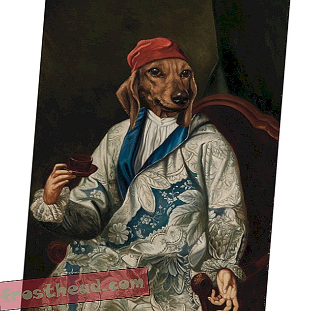U kunt ook een portret bezitten van een als persoon geklede hond