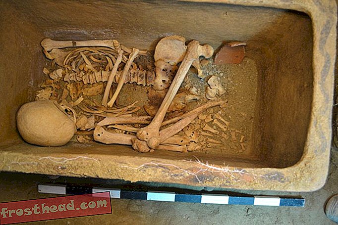 האיכר היווני מעד על קבר בן 3,400 שנה שהוסתר מתחת למטע הזיתים שלו