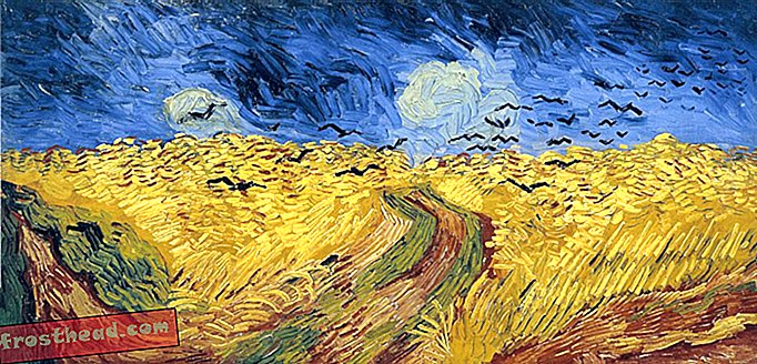Van Gogh Museum antyder, at kunstnerens sidste maleri længe er blevet forkert identificeret