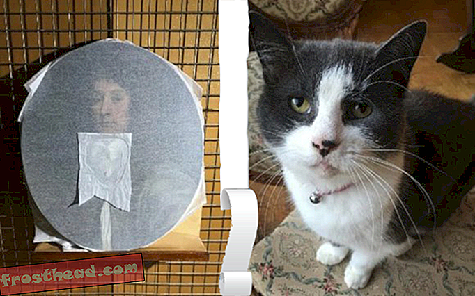 Muy travieso Kitty recortó retrato del siglo XVII
