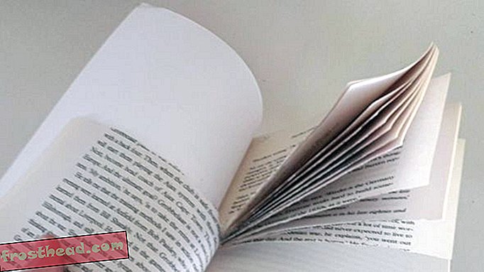 Μια λογοτεχνική βανδαλλο αρπάζει τις σελίδες από τα βιβλία και τα βάζει πίσω στα ράφια