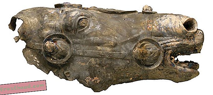 Златна коњска глава стара 2.000 година сугерира да Римљани заправо иду заједно са немачким 'Барбарима'