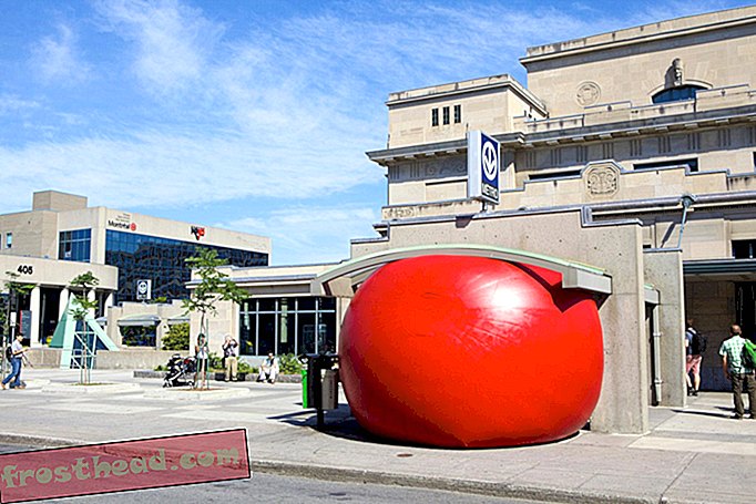 स्मार्ट समाचार, स्मार्ट समाचार कला और संस्कृति - टोलेडो, ओहियो में एक 15-फुट-लंबा, 250-पाउंड की इन्फ्लैटेबल बॉल गॉट लूज़