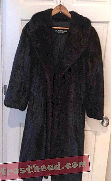 המעריצים של דורותי פרקר יכולים לשלם כדי ללבוש את מעיל מינק שלה