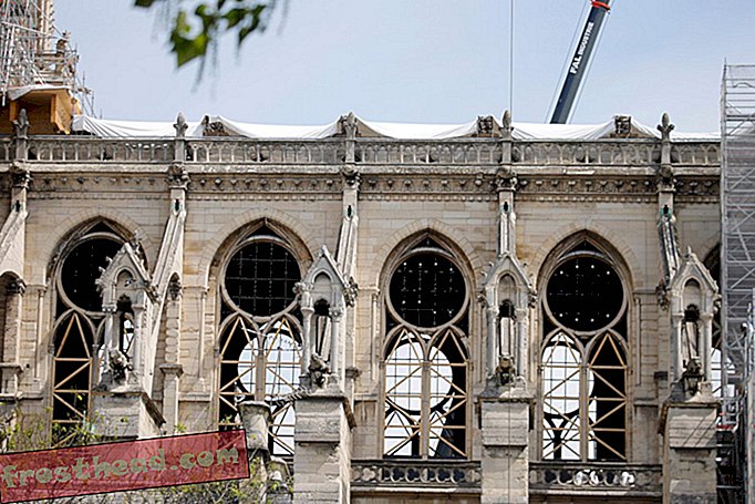 Inženjer kaže da je Notre-Dame ranjiv na jake vjetrove-pametne vijesti, pametne vijesti umjetnost i kultura