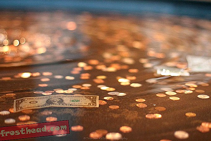 Kaj se dogaja s kovanci, ki so se vrgli v fontane?-pametne novice, pametne novice, umetnost in kultura