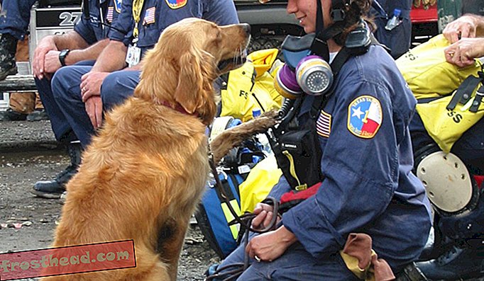 Terakhir Dikenali 9/11 Dog Penyelamat dan Penyelamat