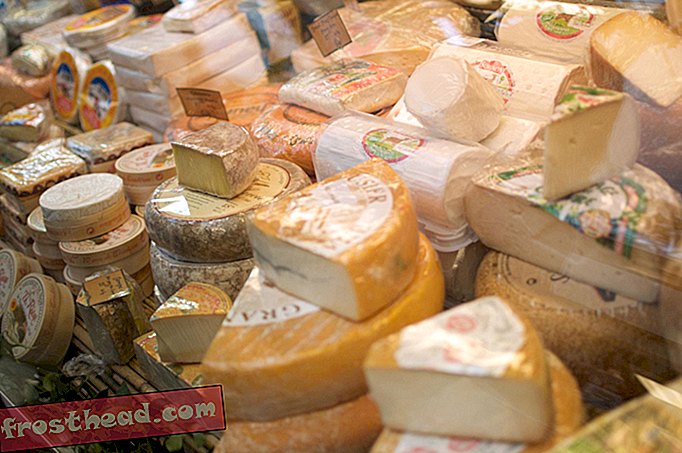 ZDA imajo masiven presežek sira