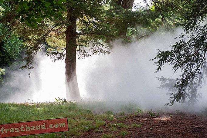 Les sculptures de brouillard couvrent les parcs historiques de Boston