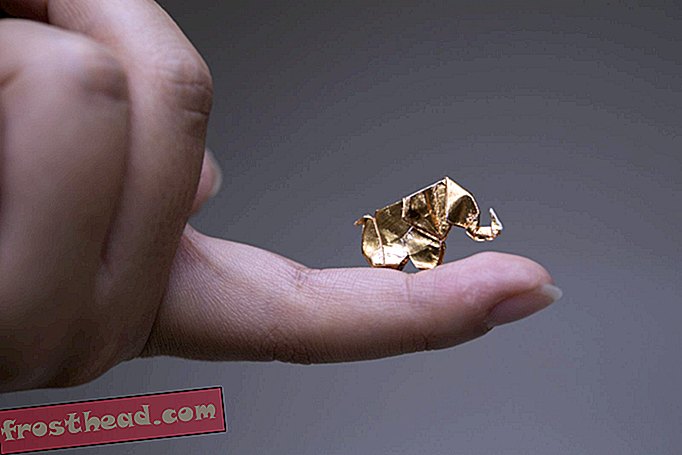 Maailman suurin origami-norsujen lauma valtaa Bronxin eläintarhan