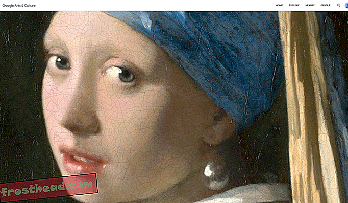 Tutustu Vermeerin selviytyviin maalauksiin yhdessä tämän jälkeen, yhdessä virtuaalinäyttelyssä