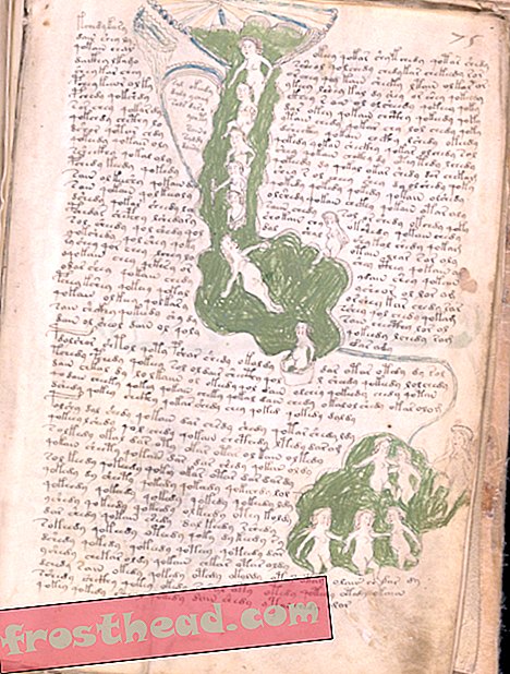 Evo što trebate znati o rukopisu misterioznog Voynicha