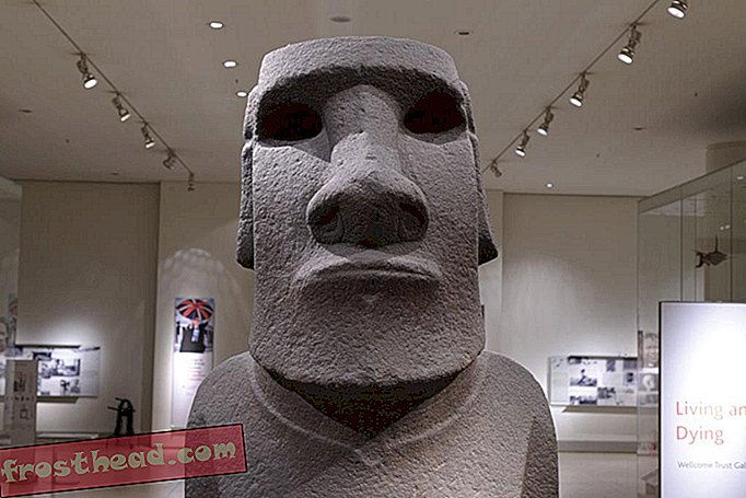 Οι εκπρόσωποι της Rapa Nui επισκέπτονται το βρετανικό μουσείο για να συζητήσουν τον επαναπατρισμό του άγαλμα Moai